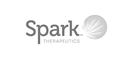 Spark logo